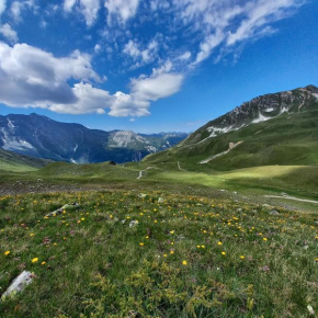 les campanules Bourg-Saint-Maurice